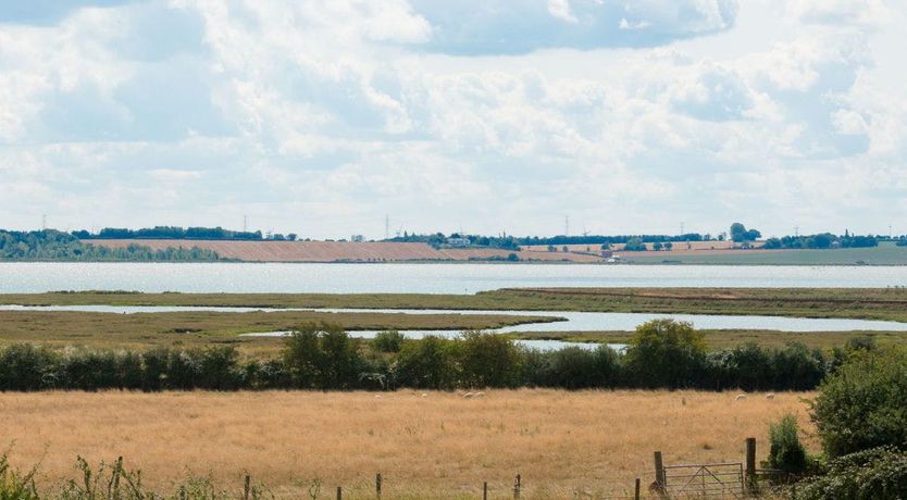 Photo of The Marsh Harrier