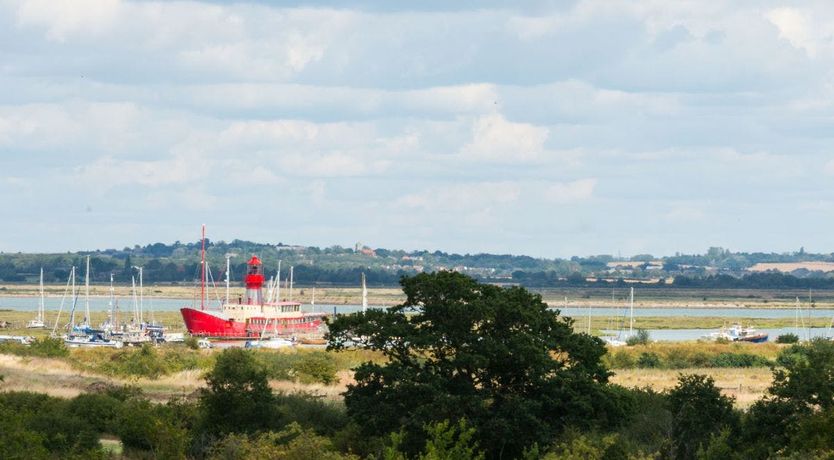 Photo of The Marsh Harrier