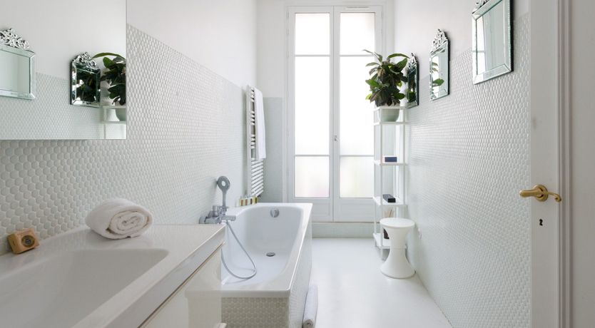 Photo of Blush Belle