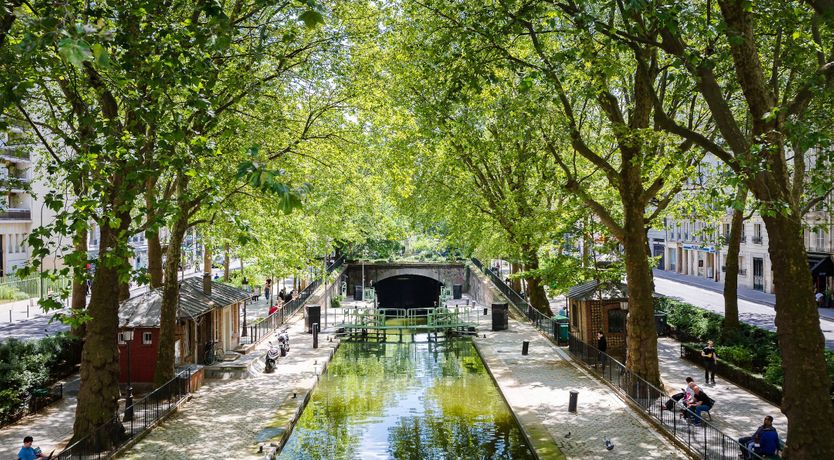 Photo of Blush Belle