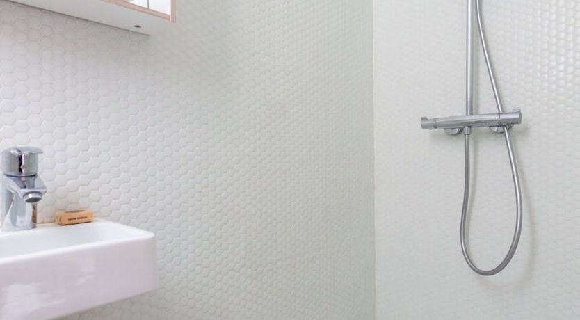 Photo of Blush Belle