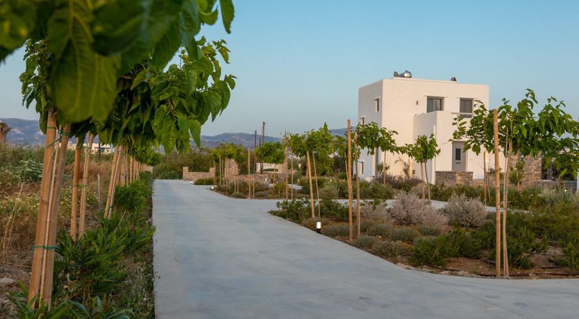 Photo of Island Paradise Retreat