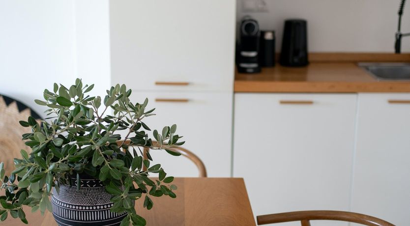 Photo of The Reflections