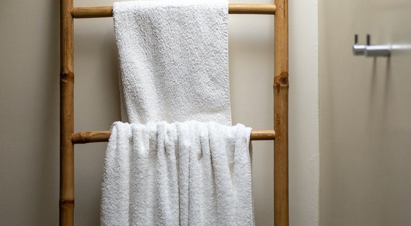 Photo of The Reflections