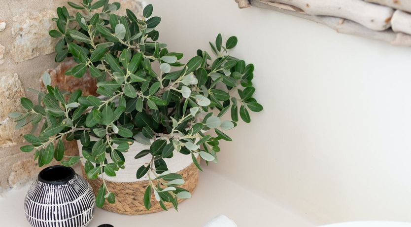 Photo of The Reflections