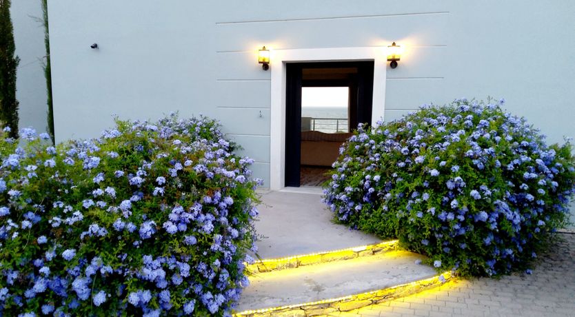 Photo of The Summer Sun