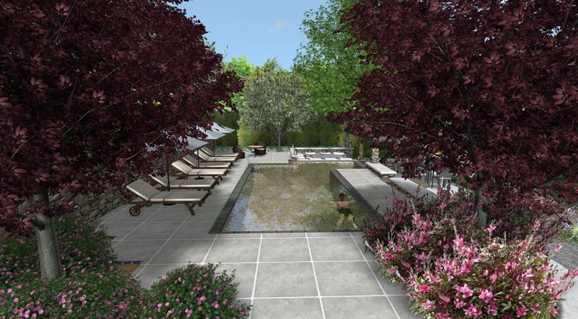 Photo of The Summer Sun