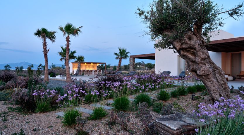 Photo of Paros Bliss