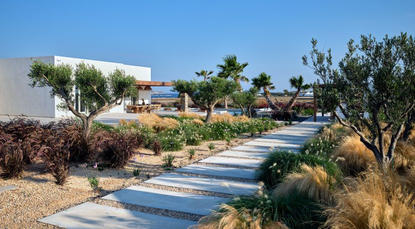 Photo of Paros Bliss