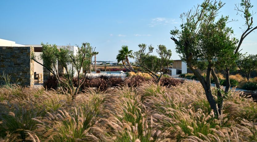 Photo of Paros Bliss