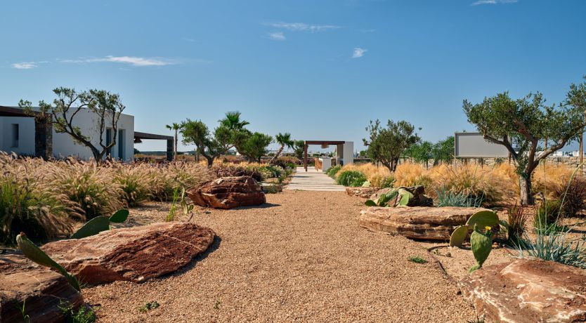 Photo of Paros Bliss