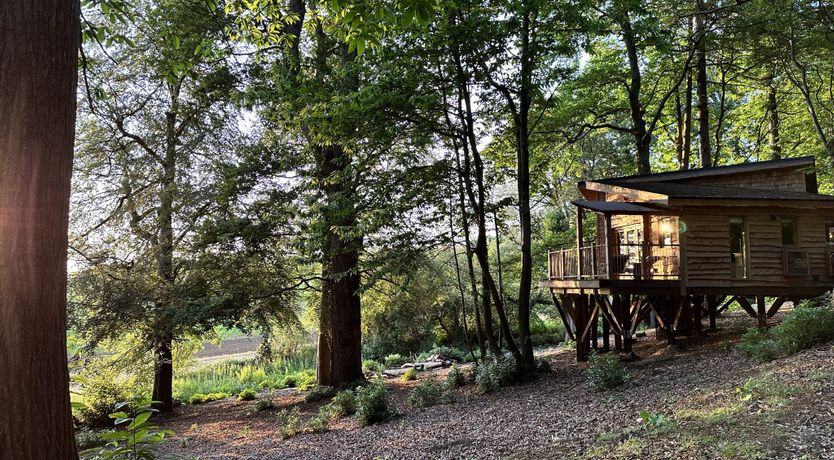 Photo of The Village Cosy