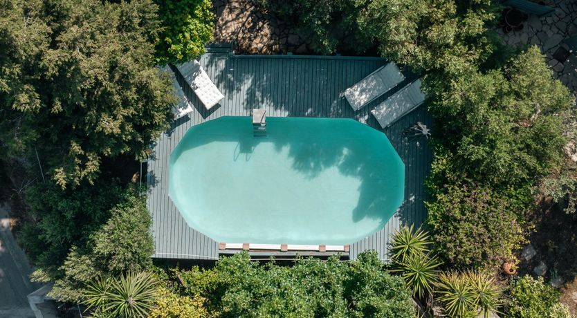 Photo of Lampini Blush