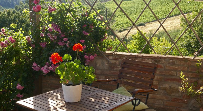 Photo of Groves & Vines