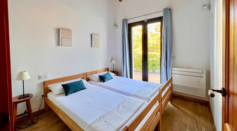 Photo of Palm Soaked Nights