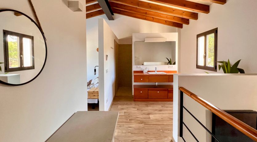 Photo of Palm Soaked Nights