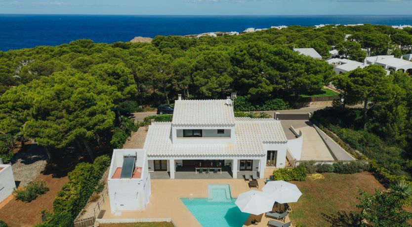 Photo of Palm Soaked Nights