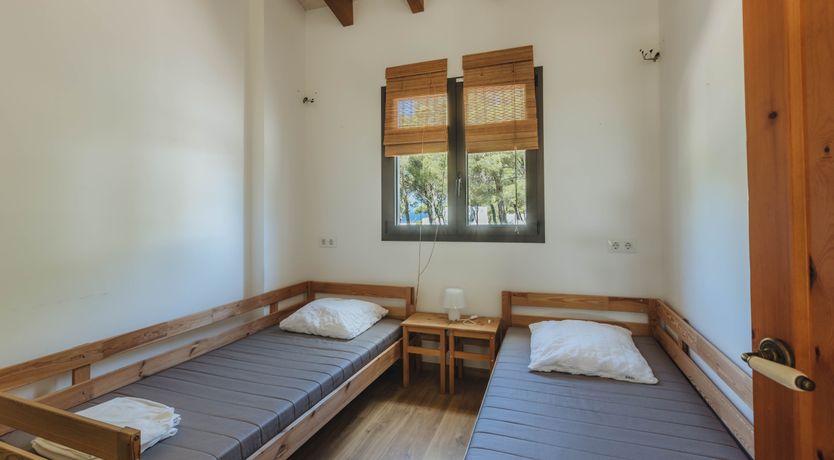 Photo of Palm Soaked Nights