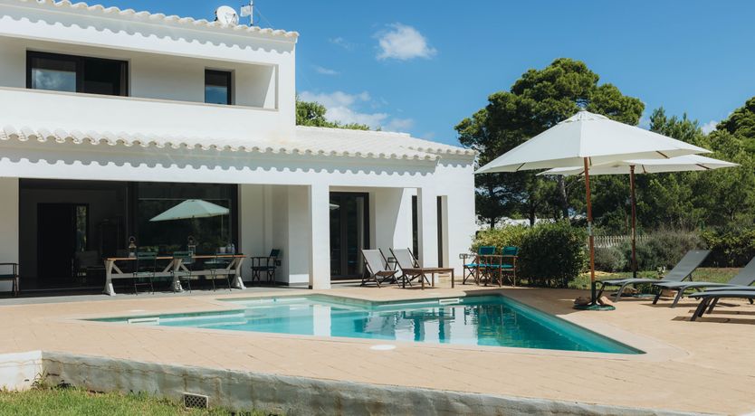 Photo of Palm Soaked Nights