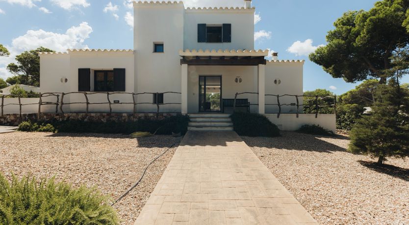 Photo of Palm Soaked Nights