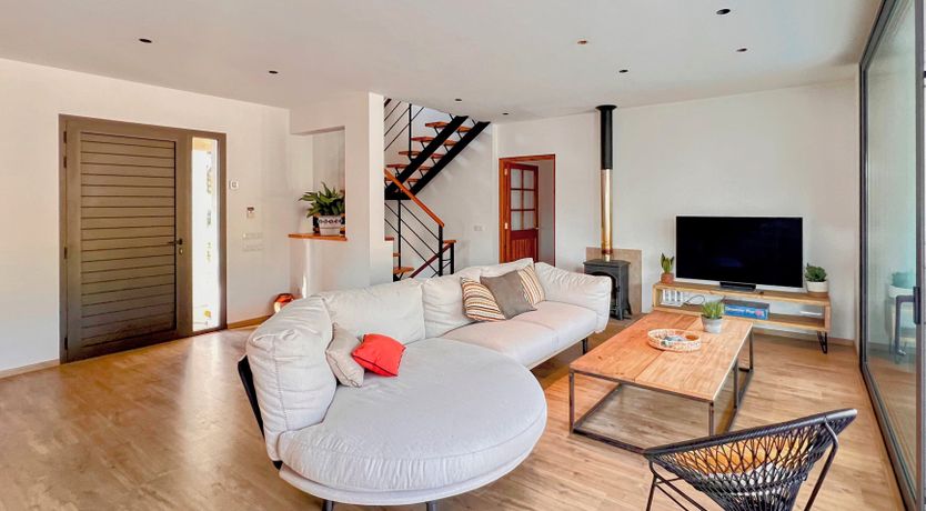 Photo of Palm Soaked Nights