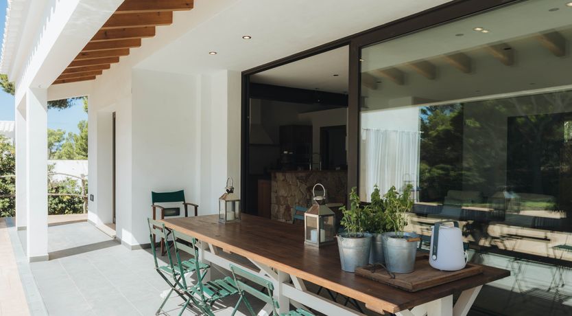 Photo of Palm Soaked Nights