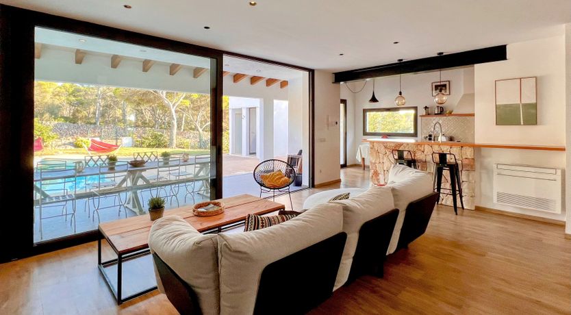 Photo of Palm Soaked Nights