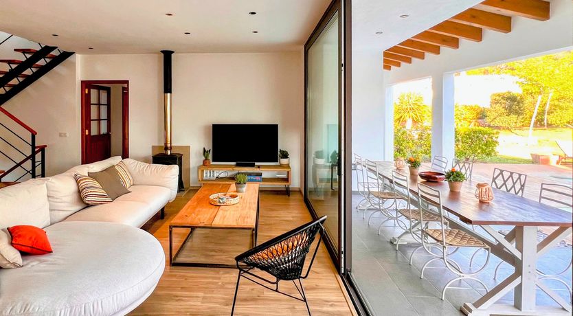 Photo of Palm Soaked Nights