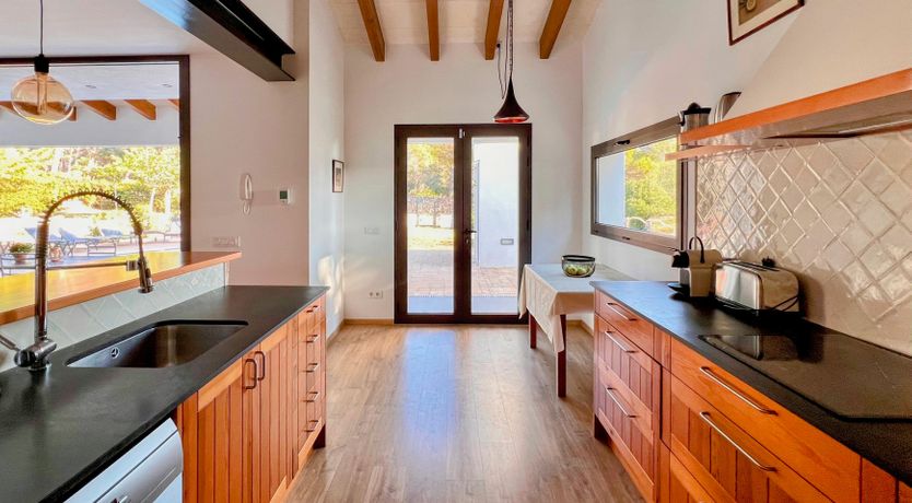 Photo of Palm Soaked Nights