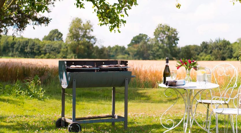 Photo of Asking For Roses