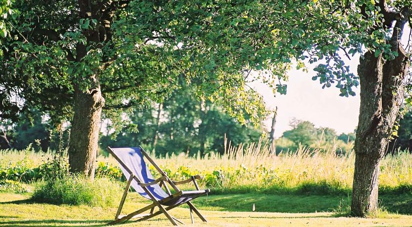 Photo of Asking For Roses