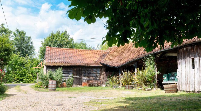 Photo of Asking For Roses