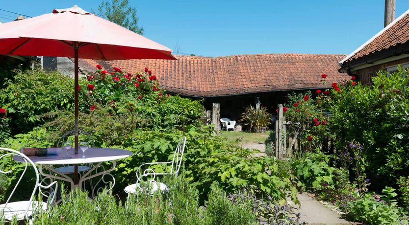 Photo of Asking For Roses