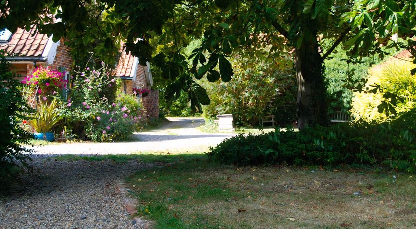 Photo of Asking For Roses