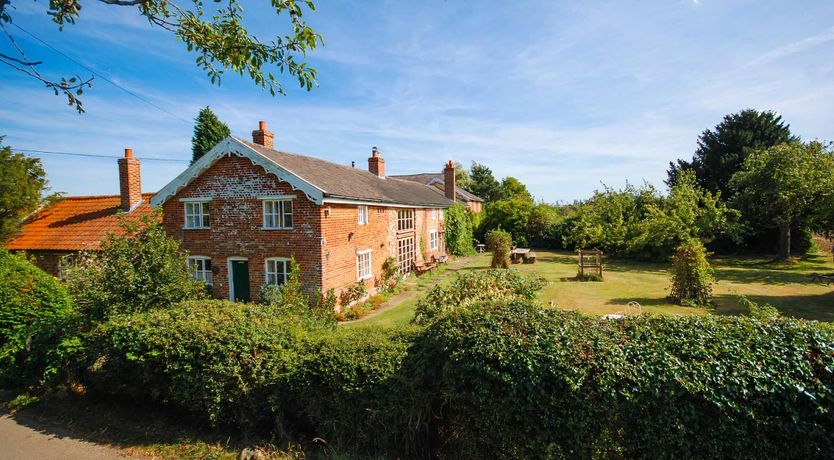 Photo of Asking For Roses