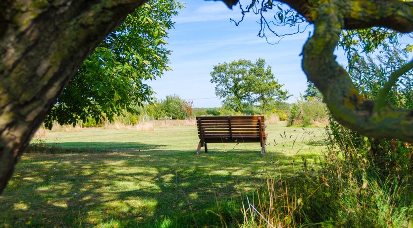 Photo of Baked to Perfection