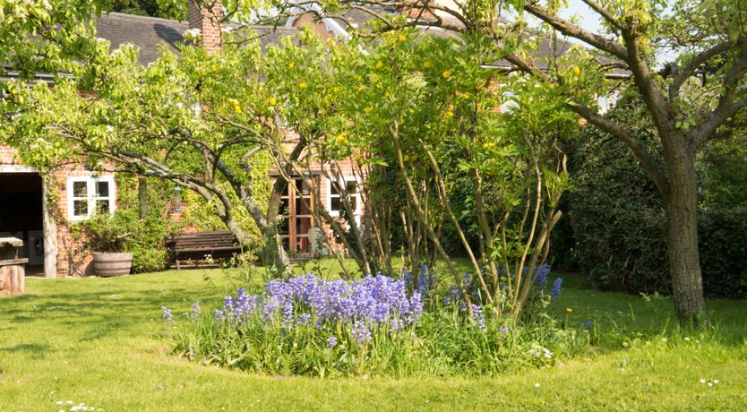 Photo of Baked to Perfection