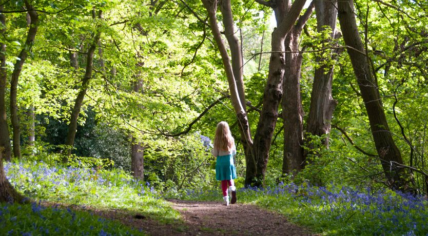 Photo of Baked to Perfection