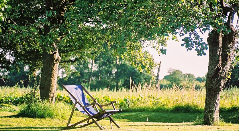 Photo of Baked to Perfection