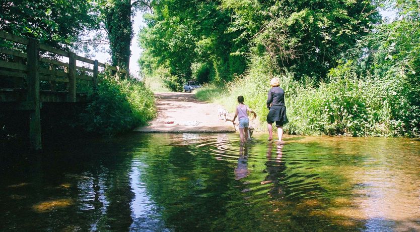 Photo of Baked to Perfection