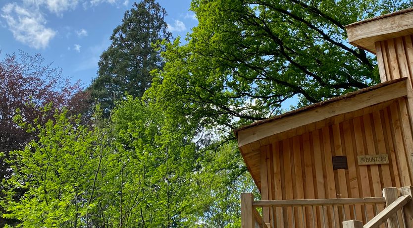 Photo of The Artful Bee