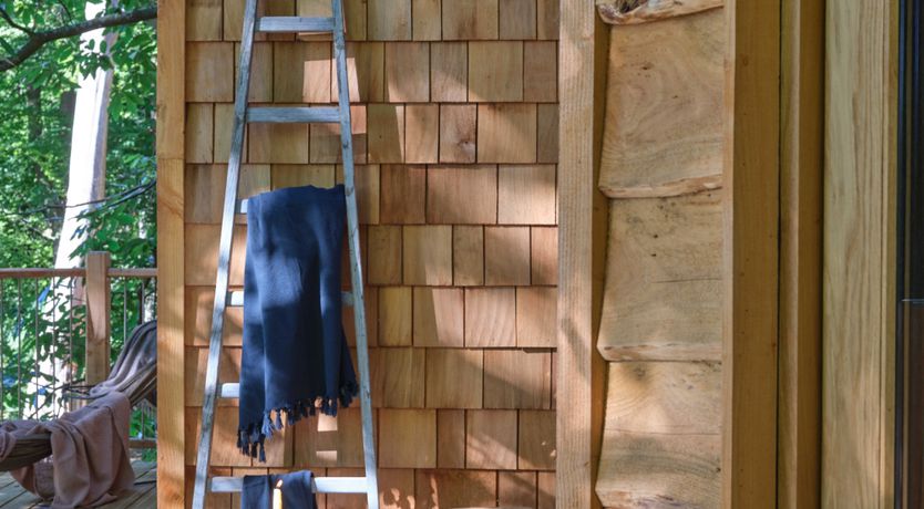 Photo of The Artful Bee