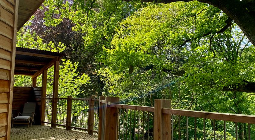 Photo of The Artful Bee