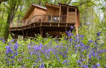 The Artful Bee Holiday Cottage