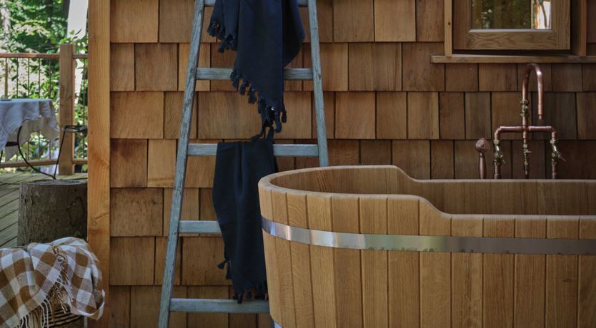 Photo of The Artful Bee