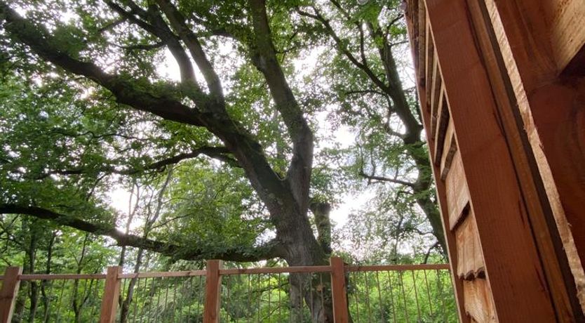 Photo of The Artful Bee