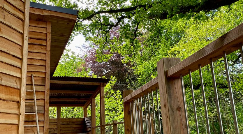 Photo of The Artful Bee