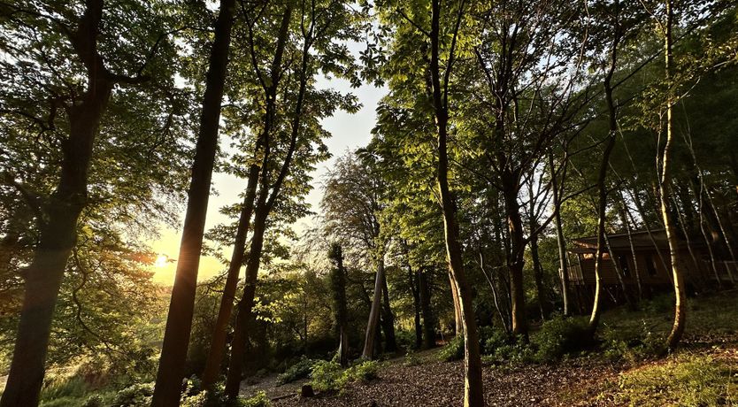 Photo of The Enchanted Green