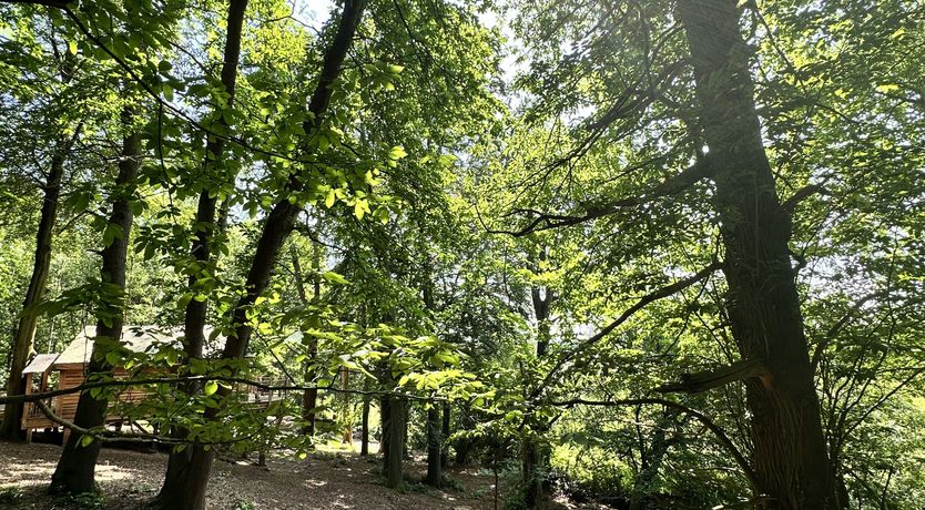 Photo of The Enchanted Green