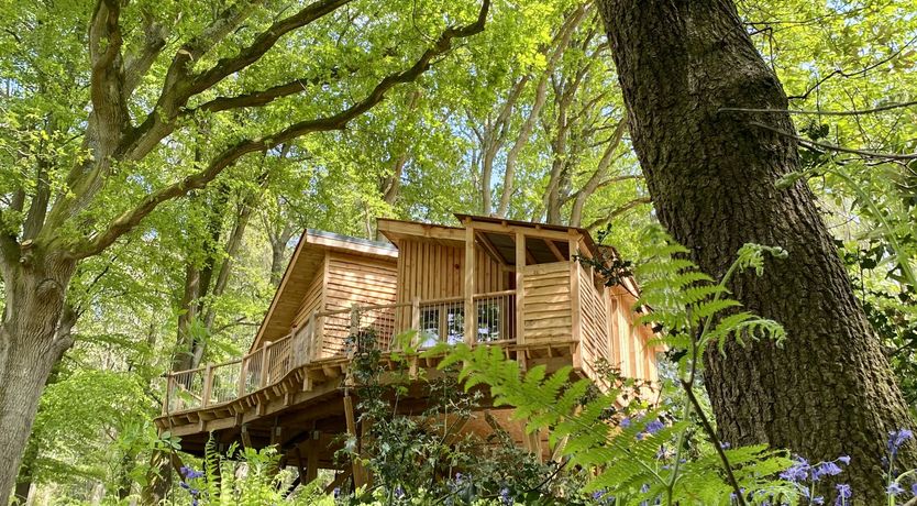 Photo of The Enchanted Green